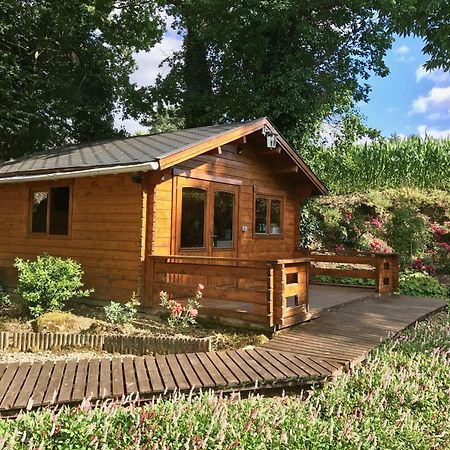 Chambres D'Hotes Les Tilleuls Poullaouen Zewnętrze zdjęcie